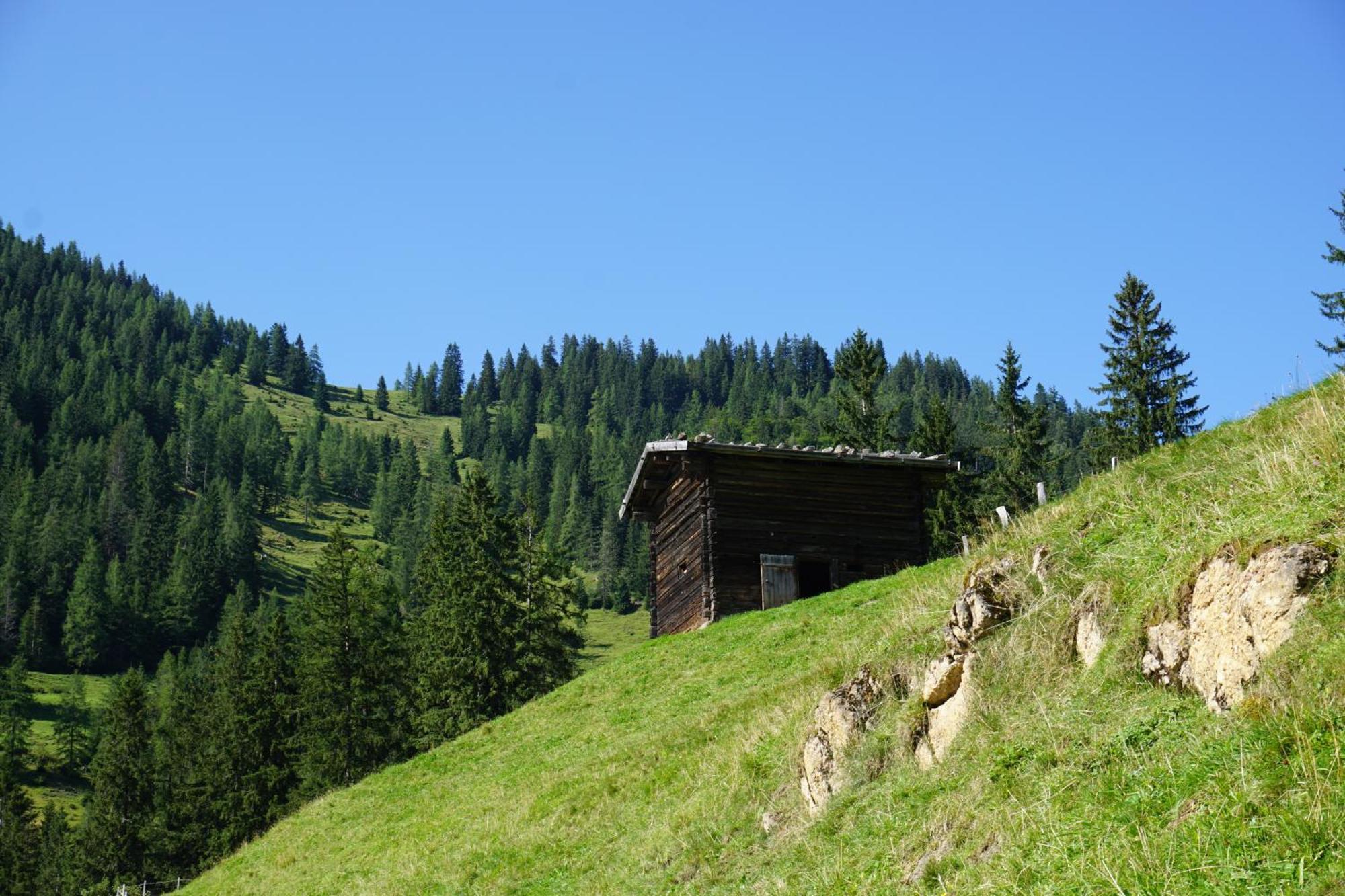 Studio Schwarzenauer Apartment Alpbach Exterior foto